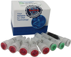 HelixAmp ��ֲ����ѪҺ�ӱ�ֱ�� RT-PCRԇ����