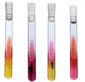 Hylabs�c�����b����