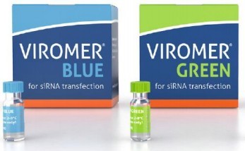 Viromer&reg; BLUE���{����GREEN���G��siRNA��miRNA�DȾԇ��